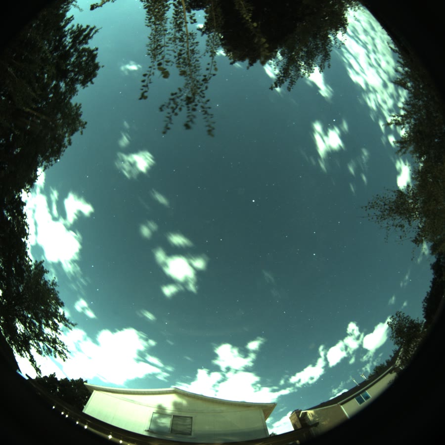 Real all-sky camera frame from an ARIS rig — stars through the tree canopy