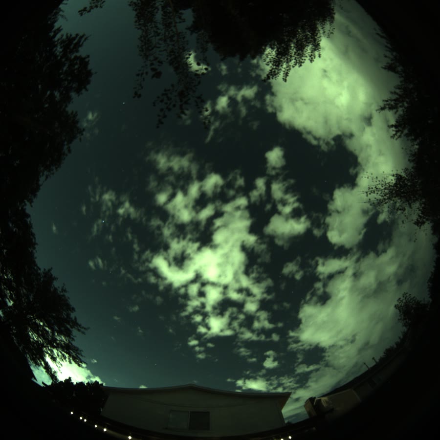 Live all-sky camera frame from an ARIS rig — broken moonlit clouds drifting over the site, stars visible between them, trees ringing the horizon